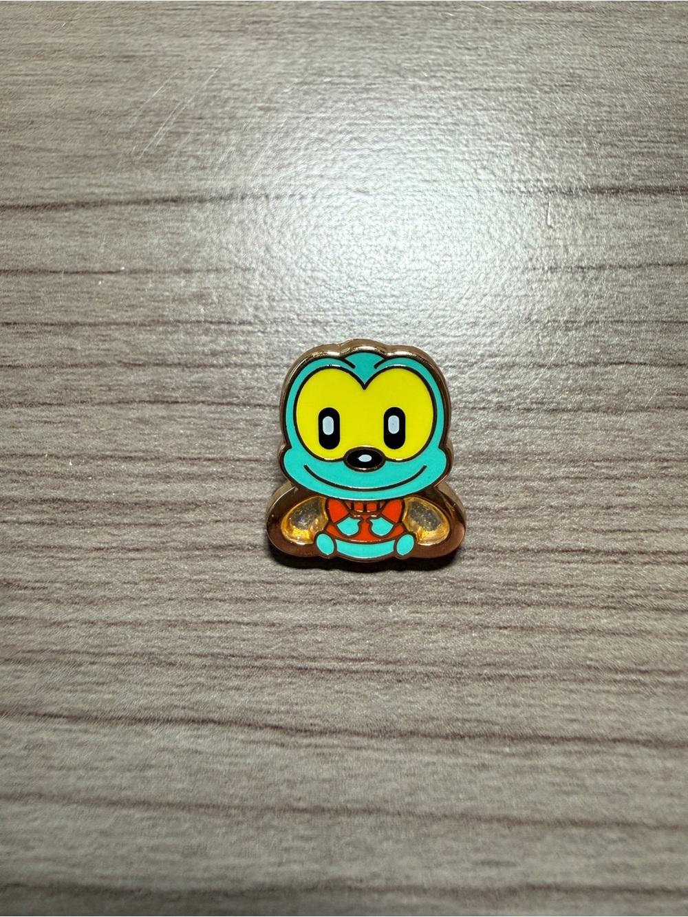 Disney Pins Zipper